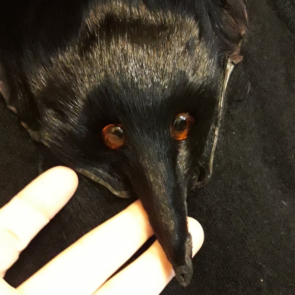 Unique Black Fox Jacket Size M - Picture 4 of 8